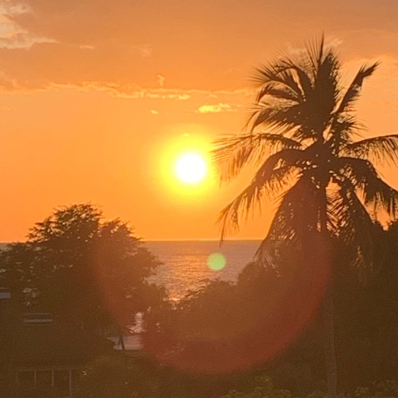 Meet your Posher, Jennifer - Picture 5 of 7